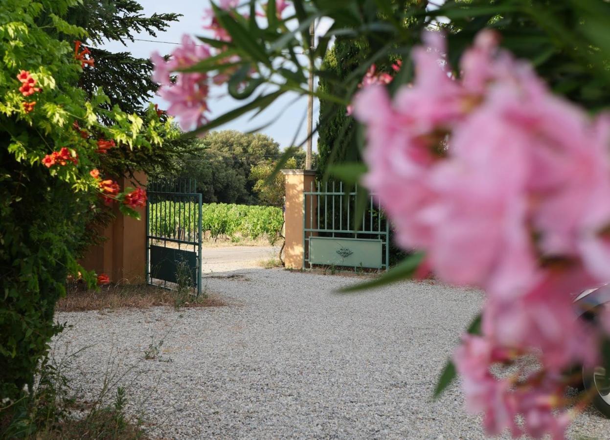 Hotel Maison D'Hotes Le Mas Des Vignes Rochegude  Esterno foto