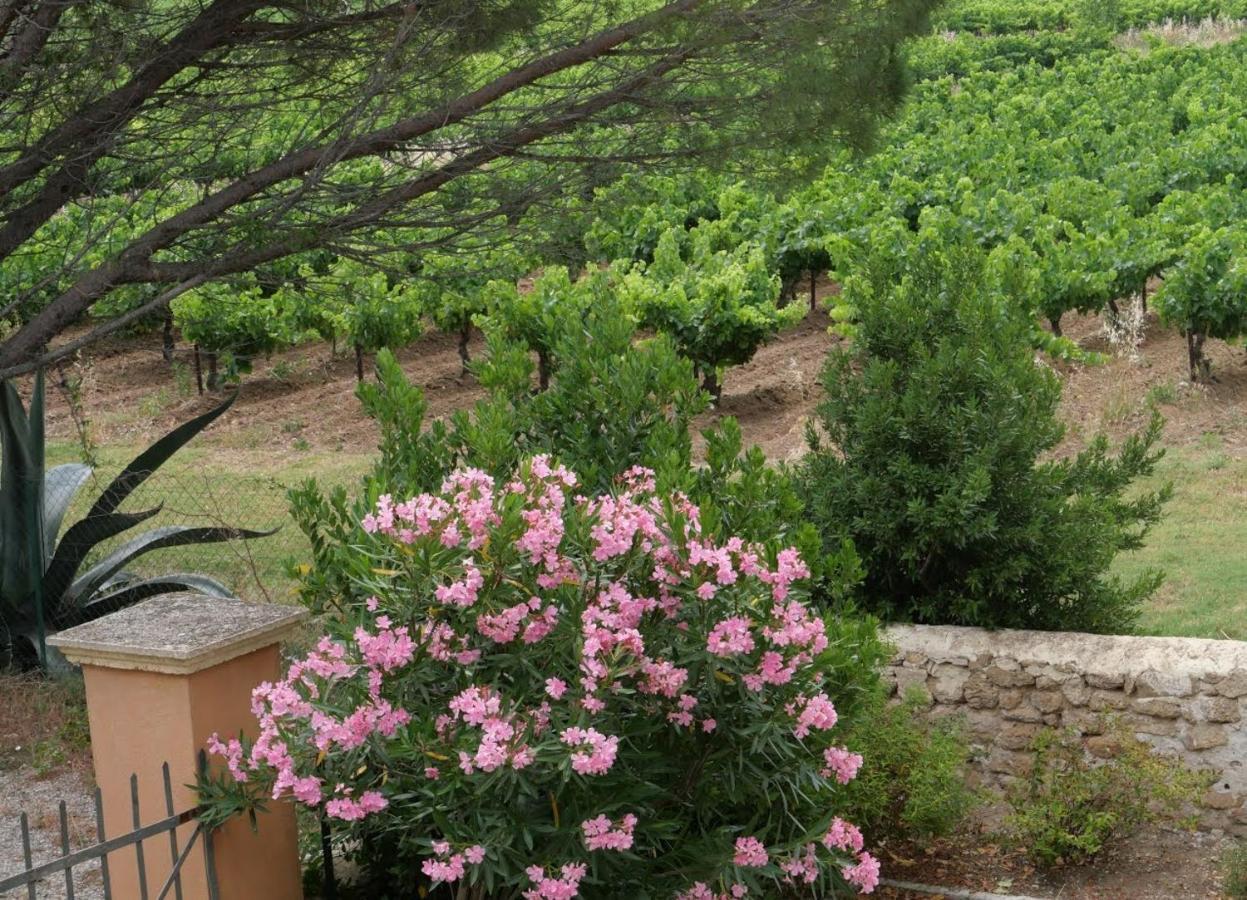 Hotel Maison D'Hotes Le Mas Des Vignes Rochegude  Esterno foto
