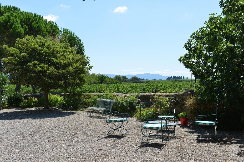 Hotel Maison D'Hotes Le Mas Des Vignes Rochegude  Esterno foto